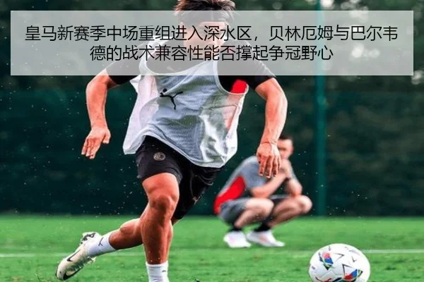 皇马新赛季中场重组进入深水区，贝林厄姆与巴尔韦德的战术兼容性能否撑起争冠野心